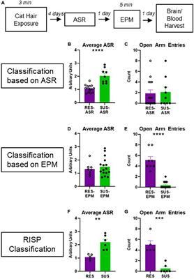 Neuroinflammation is a susceptibility factor in developing a PTSD-like phenotype